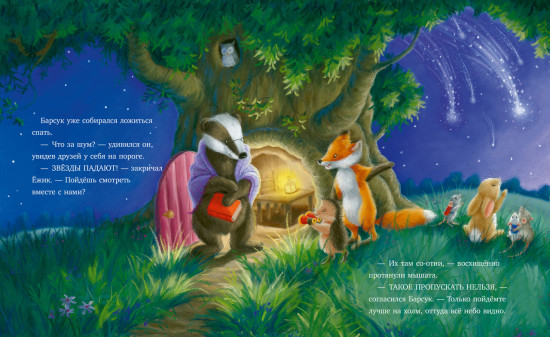 Самая звёздная ночь