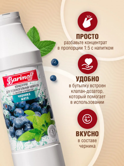 Концентрат для напитков «Черника-мята»