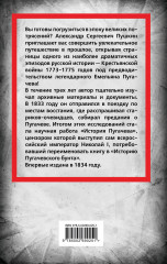 История Пугачевского бунта - Фото 1