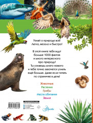 100 тысяч почему на каждый день. Природа - Фото 1