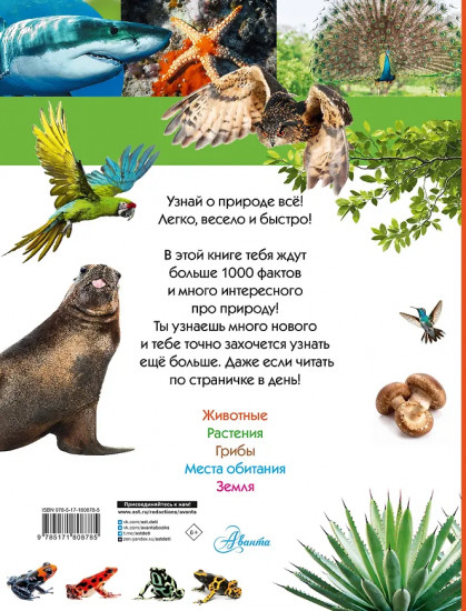 100 тысяч почему на каждый день. Природа