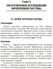 Ультразвуковая диагностика - Фото 5