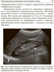 Ультразвуковая диагностика - Фото 6