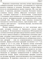 Ультразвуковая диагностика - Фото 7