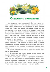 Грибной вождь - Фото 4