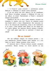 Грибной вождь - Фото 7