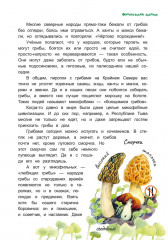 Грибной вождь - Фото 14