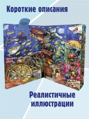 Что там, под водой? Энциклопедия с окошками - Фото 3