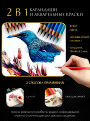 Набор карандашей цветных акварельных - Фото 2