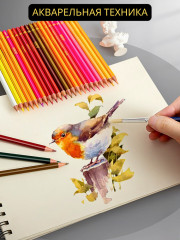 Набор карандашей цветных акварельных - Фото 6