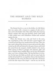 The Hermit and the Wild Woman - Фото 3