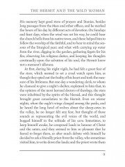 The Hermit and the Wild Woman - Фото 7