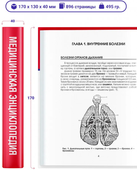 Медицинская энциклопедия