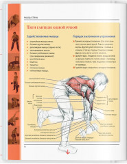 Анатомия силовых упражнений для мужчин и женщин - Фото 10