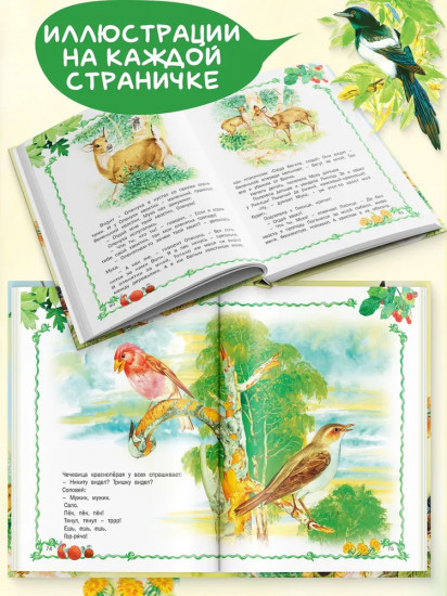 Лесные истории