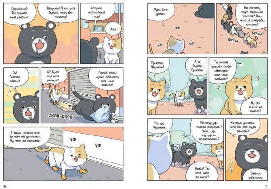 Котёнок Наби. Я умываю лапы!