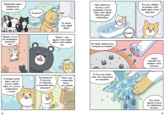 Котёнок Наби. Я умываю лапы! - Фото 4