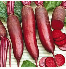 Семена свеклы столовой «Одноростковая» - Фото 1