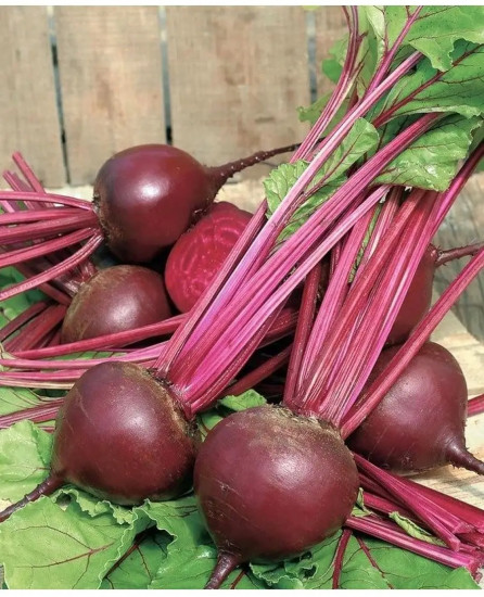 Семена свеклы столовой «Винегрет»