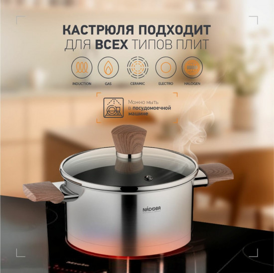 Кастрюля со стеклянной крышкой «Ludva»