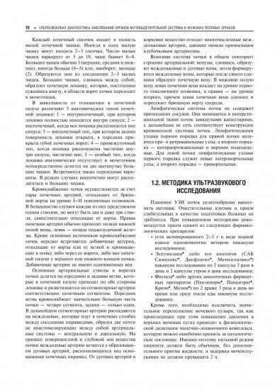 Практическая ультразвуковая диагностика. Том 2