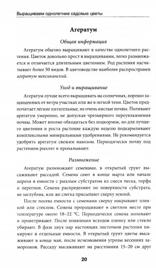 Выращиваем однолетние садовые цветы