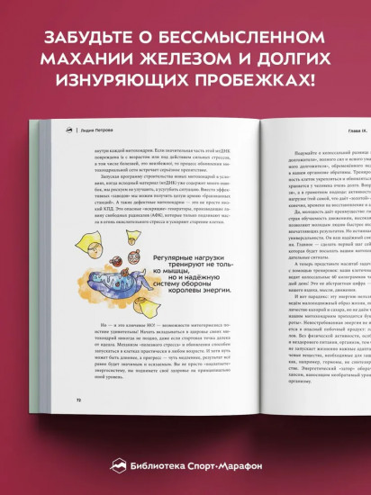 Молекулы выносливости. Как тренировки меняют работу клеток