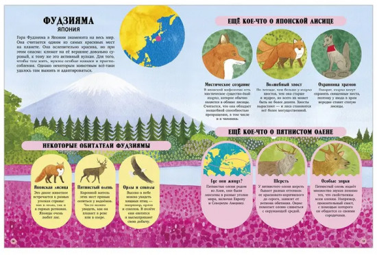 Удивительные животные и где они обитают