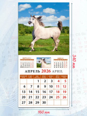 Календарь настенный на 2026 год «Год лошади» - Фото 2