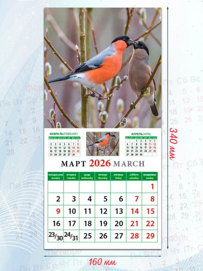 Календарь настенный на 2026 год «Календарь природы»