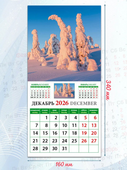 Календарь настенный на 2026 год «Очарование природы»