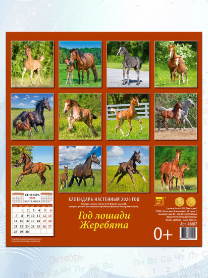 Календарь настенный на 2026 год «Год лошади. Жеребята»