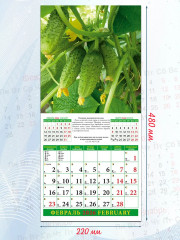 Календарь настенный на 2026 год «Лунный календарь садовода и огородника» - Фото 2