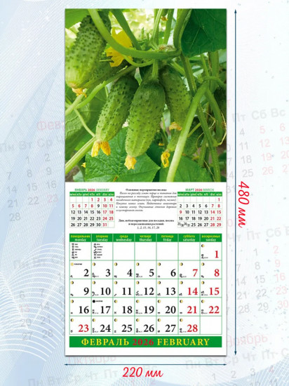 Календарь настенный на 2026 год «Лунный календарь садовода и огородника»