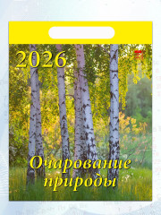 Календарь настенный на 2026 год «Очарование природы» - Фото 4