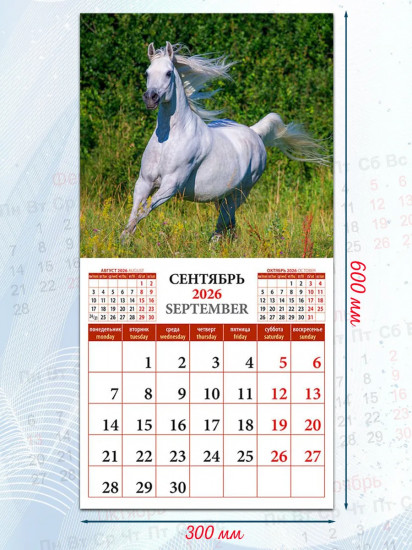 Календарь настенный на 2026 год «Год лошади»