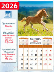 Календарь настенный на 2026 год «Год лошади. Жеребята» - Фото 1