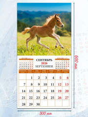 Календарь настенный на 2026 год «Год лошади. Жеребята» - Фото 2