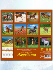 Календарь настенный на 2026 год «Год лошади. Жеребята» - Фото 3