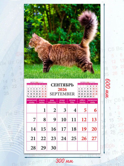 Календарь настенный на 2026 год «Кошки мира»