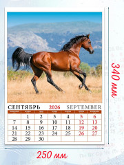 Календарь настенный на 2026 год «Год лошади» - Фото 2