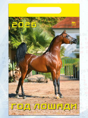 Календарь настенный на 2026 год «Год лошади» - Фото 4