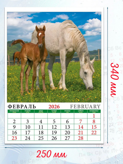 Календарь настенный на 2026 год «Год лошади. Жеребята»