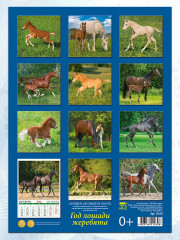Календарь настенный на 2026 год «Год лошади. Жеребята» - Фото 3