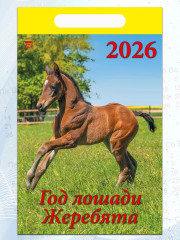 Календарь настенный на 2026 год «Год лошади. Жеребята» - Фото 4