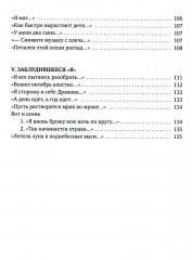 Пыльное солнце - Фото 4