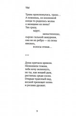 Пыльное солнце - Фото 6