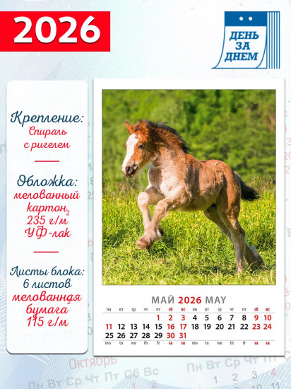 Календарь настенный на 2026 год «Год лошади. Жеребята»