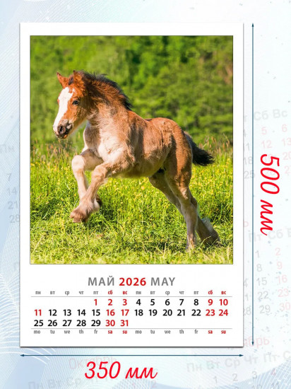 Календарь настенный на 2026 год «Год лошади. Жеребята»