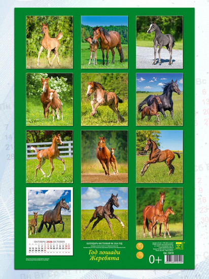 Календарь настенный на 2026 год «Год лошади. Жеребята»